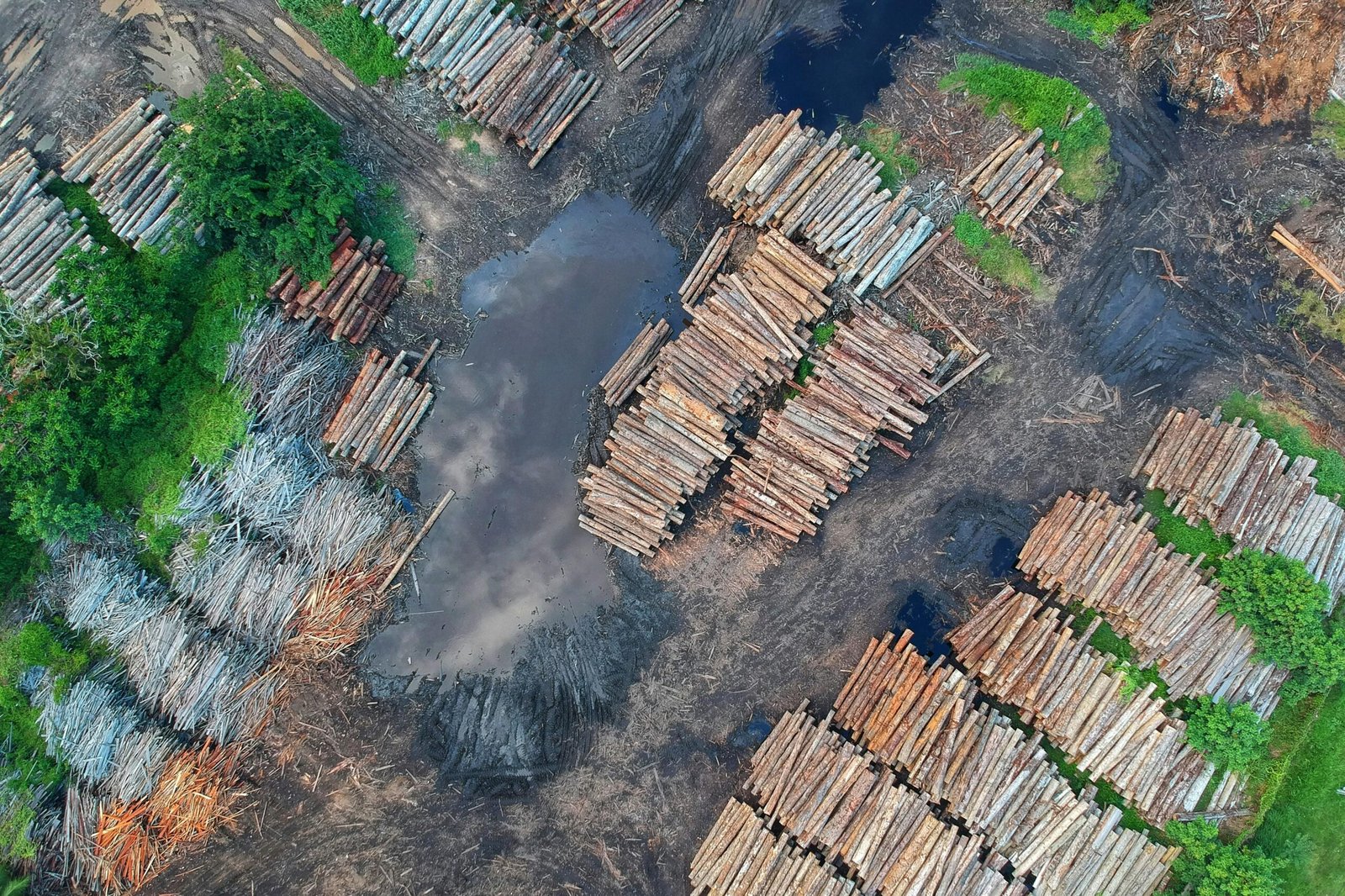 High-altitude shot of stacked logs in a deforested area, showcasing timber and environmental impact.